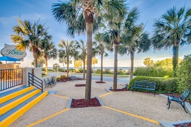 Ocean Forest Plaza - Plaj