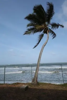 Ocean of Life Ayurvedic Resort - Plaj