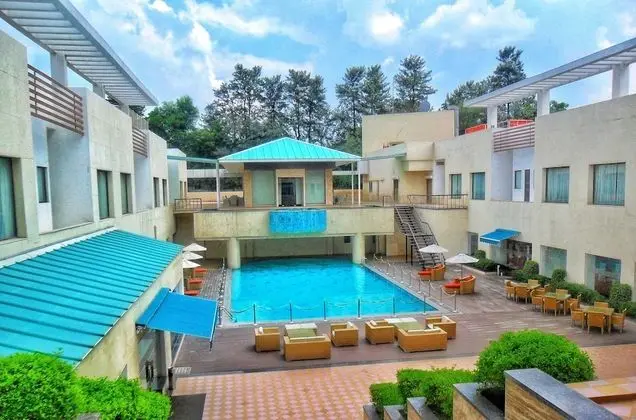 The Ocean Pearl Gardenia