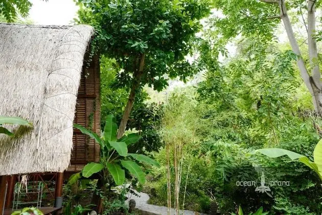 Ocean Prana - Hostel - Dış Mekan