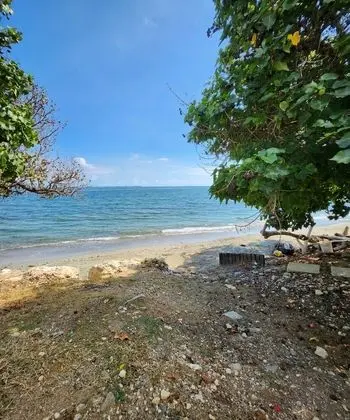 Ocean View At Bayfront - Plaj