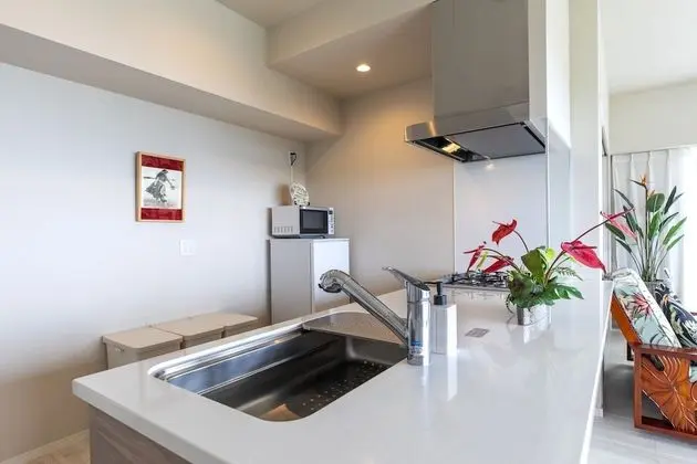 The Ocean View Condominium Motobu - Mutfak