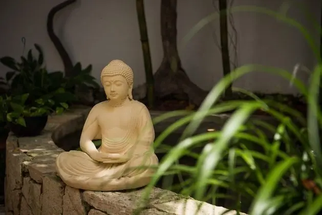 Ocean Zen Suites on 5th Avenue - Adults Only - Lobi