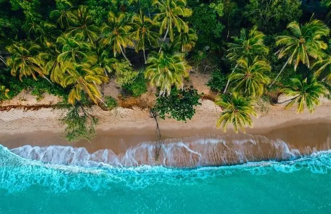 Oceanfront Breeze with Ultimate Beach Views 5 - Plaj