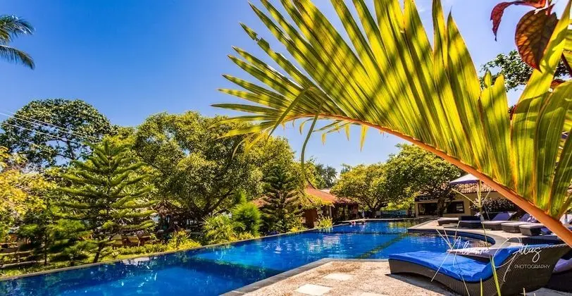 Oceans 5 Dive Resort - Havuz