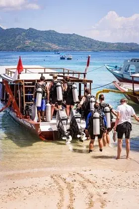 Oceans 5 Dive Resort - Plaj