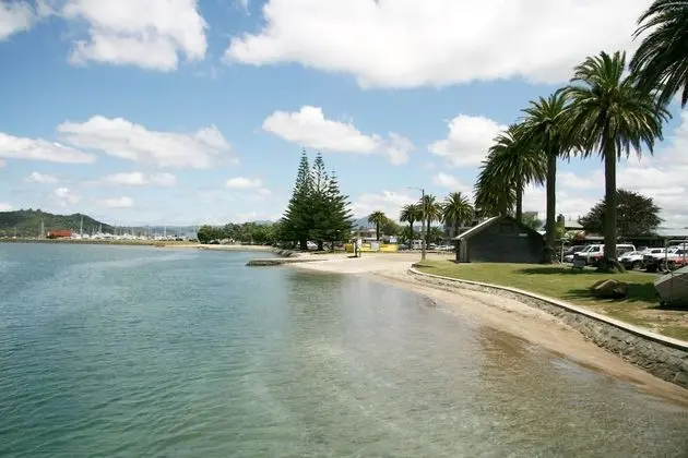 Oceans Resort Whitianga - Plaj