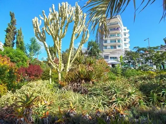 Oceanside Terrace Apartment by Holiday Rental Management - Dış Mekan