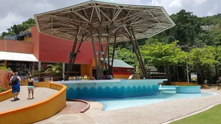 Ocho Rios Villa at Coolshade III - Havuz