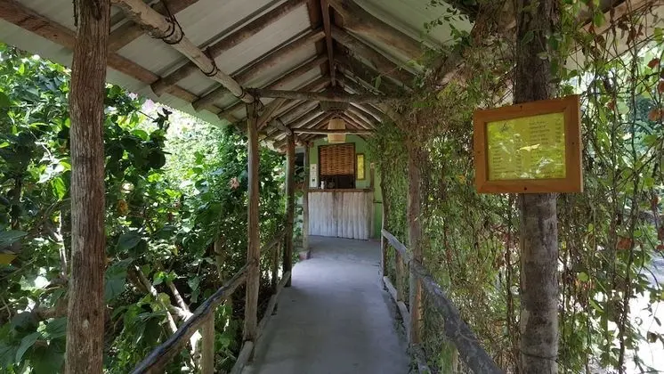 Ocho Rios Villa at the Palms III - Dış Mekan