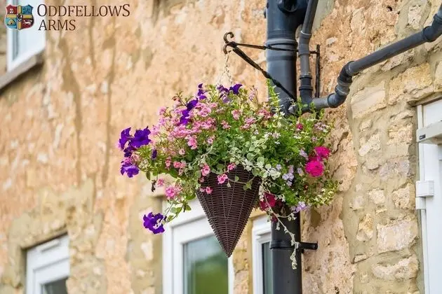 The Oddfellows Arms - Mülk Olanakları