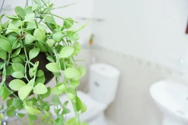 OHO Inn Saigon - Hostel - Banyo Tipleri