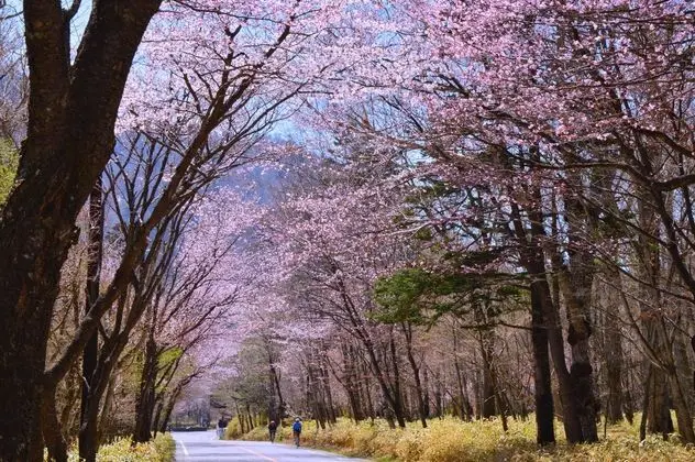 OHRURI SANSO NIKKO