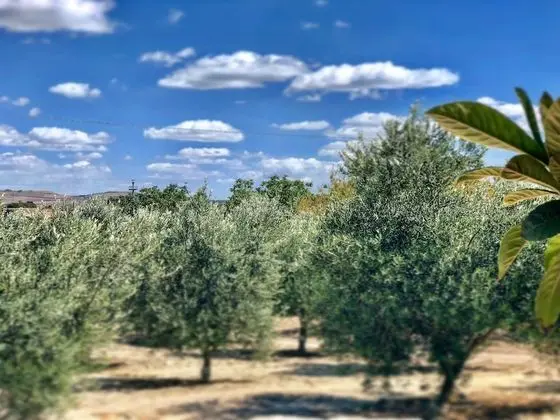 Oikos in Terre di Zaccanello
