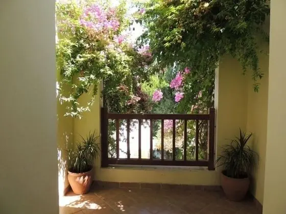 Okaliptus Hotel - Dış Mekan