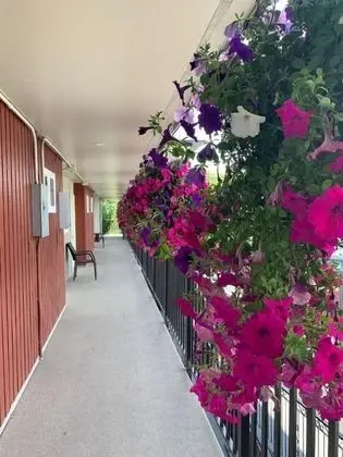 Okanagan Royal Park Inn by Elevate Rooms - Dış Mekan