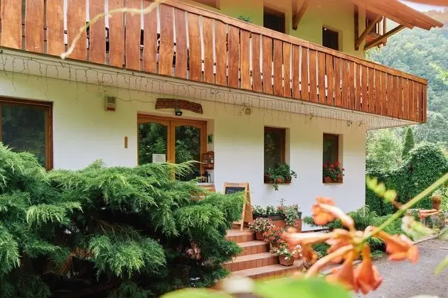 Öko-Park Panzió Kemping és Kalandpark - Dış Mekan