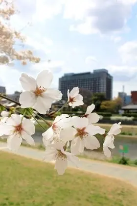 Hotel Okura Kyoto - Dış Mekan