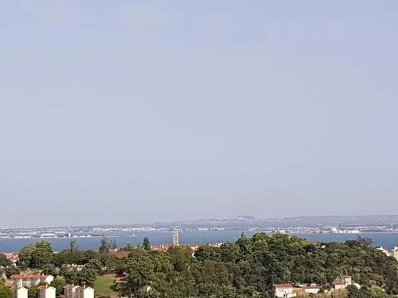 Olaias Signature Apartment