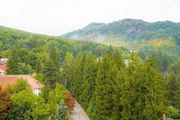 Hotel Olanesti