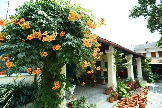 Old British House - Dış Mekan