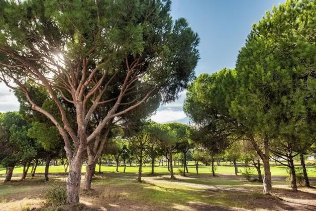 Old Village Area and Walking Distance to all Amenities - Genel