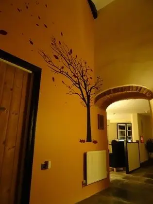 Old Manor House B&B - Lobi
