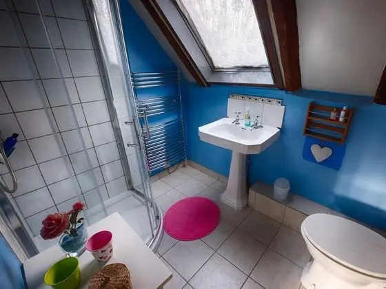 The Old Manor House B & B - Banyo Tipleri