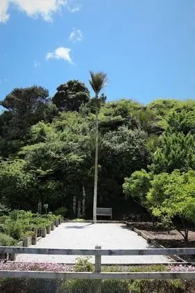 The Old Oak Boutique Hotel - Dış Mekan