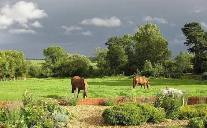 The Old Stables