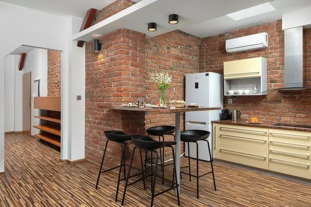 Old Town Apartment Spilberk - Mutfak