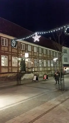 Hotel Ole lunds Gaard - Dış Mekan