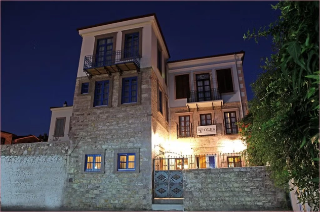 Olea LeyaFotoğrafı