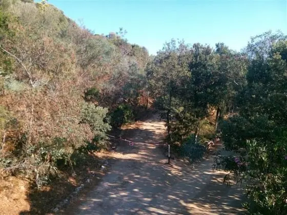 Hotel Oleandro - Dış Mekan