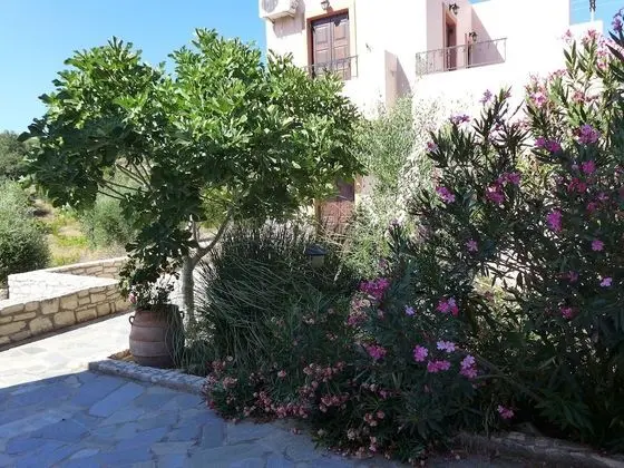 Villa Olga, in Beautiful Countryside, Large Piece of Land, Pool, Axos, NW Coast