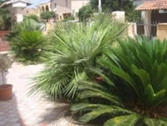 Villa Olimpo Le Torri - Dış Mekan