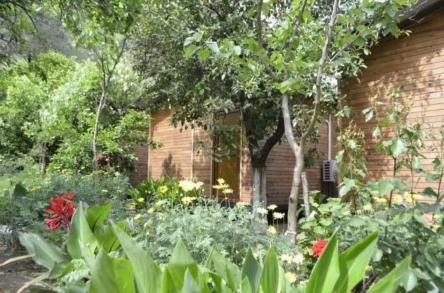 Olimpos Mercan Bungalow - Genel
