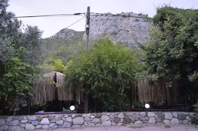 Olimpos Mercan Bungalow - Lobi