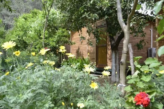 Olimpos Mercan Bungalow - Oda