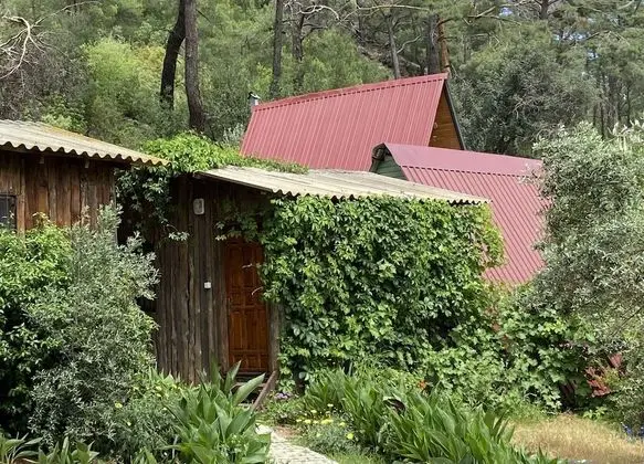 Olimpos Mercan Bungalow