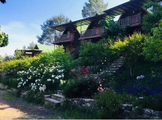 Olimpos Otantik Pansiyon