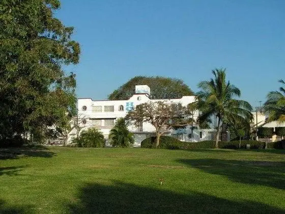 Olinalá Diamante