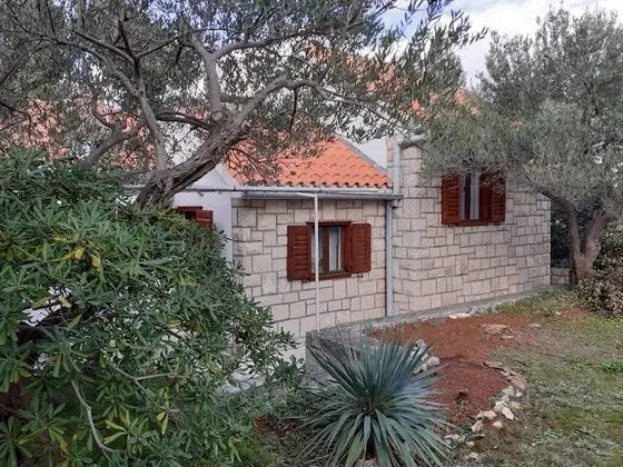 Olive - 150 m From sea - H - Dış Mekan