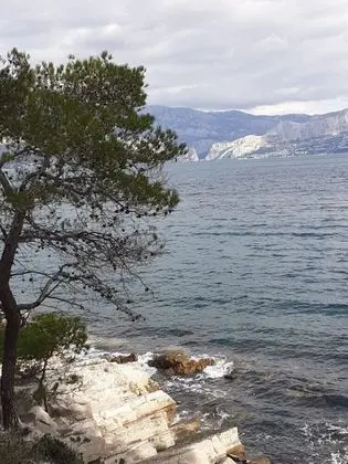 Olive - 150 m From sea - H - Plaj