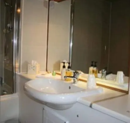 The Olive Branch Inn - Banyo Tipleri