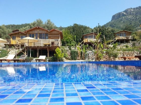 Olive Garden KabakFotoğrafı