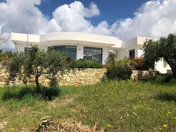 The Olive Grove Tsapi