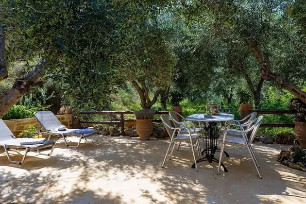 The Olive House