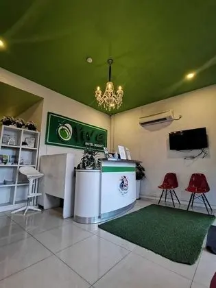 Olive Hotel - Lobi
