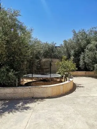 Olive Palace Restaurant and Lounge - Dış Mekan